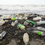 بحران زباله در سواحل رامسر/ مردم و مسئولان به فکر باشند