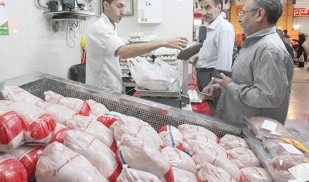 بازار مرغ و تأمین نهاده‌ها روی غلتک افتاده است
