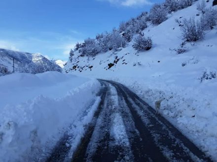 بارش سنگین برف در مناطق کوهستانی رامسر