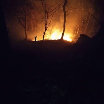 آتش سوزی جنگلهای رامسر اطفاء شد