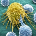 کشف ژن کلیدی ترویج‌دهنده سرطان