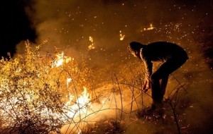 وقوع آتش سوزی در جنگل های دالخانی/ آتش سوزی مهار شد وقوع آتش سوزی در جنگل های دالخانی/ آتش سوزی مهار شد