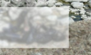 جسد سوزانده شده یک مرد مجهول الهویه در ساحل رامسر پیدا شد جسد سوزانده شده یک مرد مجهول الهویه در ساحل رامسر پیدا شد