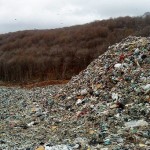 حکومت زباله ها در جنگل زیبای رامسر و شعارهای مسئولانه ای که زود فراموش شد!