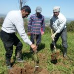 اجرای طرح احداث باغ در اراضی شیبدار بمنظور حفاظت از آب و خاک و کسب درآمد پایدار