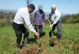 اجرای طرح احداث باغ در اراضی شیبدار بمنظور حفاظت از آب و خاک و کسب درآمد پایدار