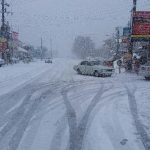برف شهرهای رامسر، کتالم و ساداتشهر را سفید پوش کرد+تصاویر