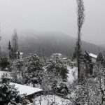 اربکله رامسر رخت سفید برتن کرد/ بارش برف به مناطق جلگه و شهری نزدیک شده است+تصاویر