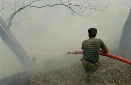 دوهکتار از جنگل های جواهرده رامسر در آتش سوخت+عکس