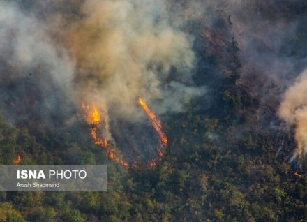 «تغییرات اقلیمی» عامل مهم آتش‌سوزی زمستانه جنگل‌های شمال کشور