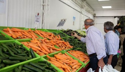 کرونا قیمت هویج را دو برابر کرد/مصرف مردم سه برابر شد