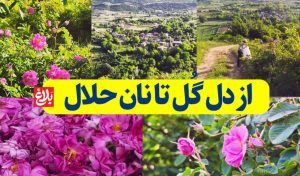 از دل گُل تا نان حلال با عطر اصالت