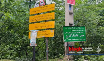 «گلیران» قبرستان جدید درختان هیرکانی «گلیران» قبرستان جدید درختان هیرکانی