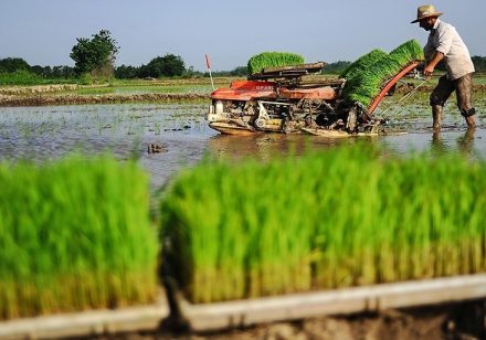 دسترنج بیسرانجام دسترنج بیسرانجام