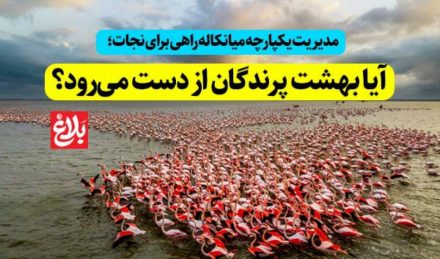 آیا بهشت پرندگان از دست میرود؟ آیا بهشت پرندگان از دست میرود؟